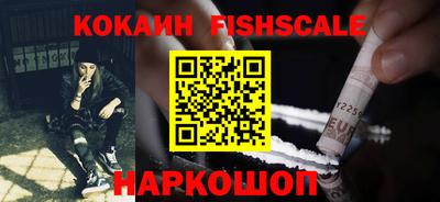 гидропоника Тверь
