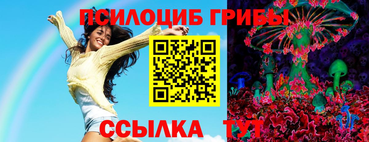 Галлюциногенные грибы Psilocybine cubensis  Галлюциногенные грибы MAGIC MUSHROOMS  Вход с VPN  Назарово 